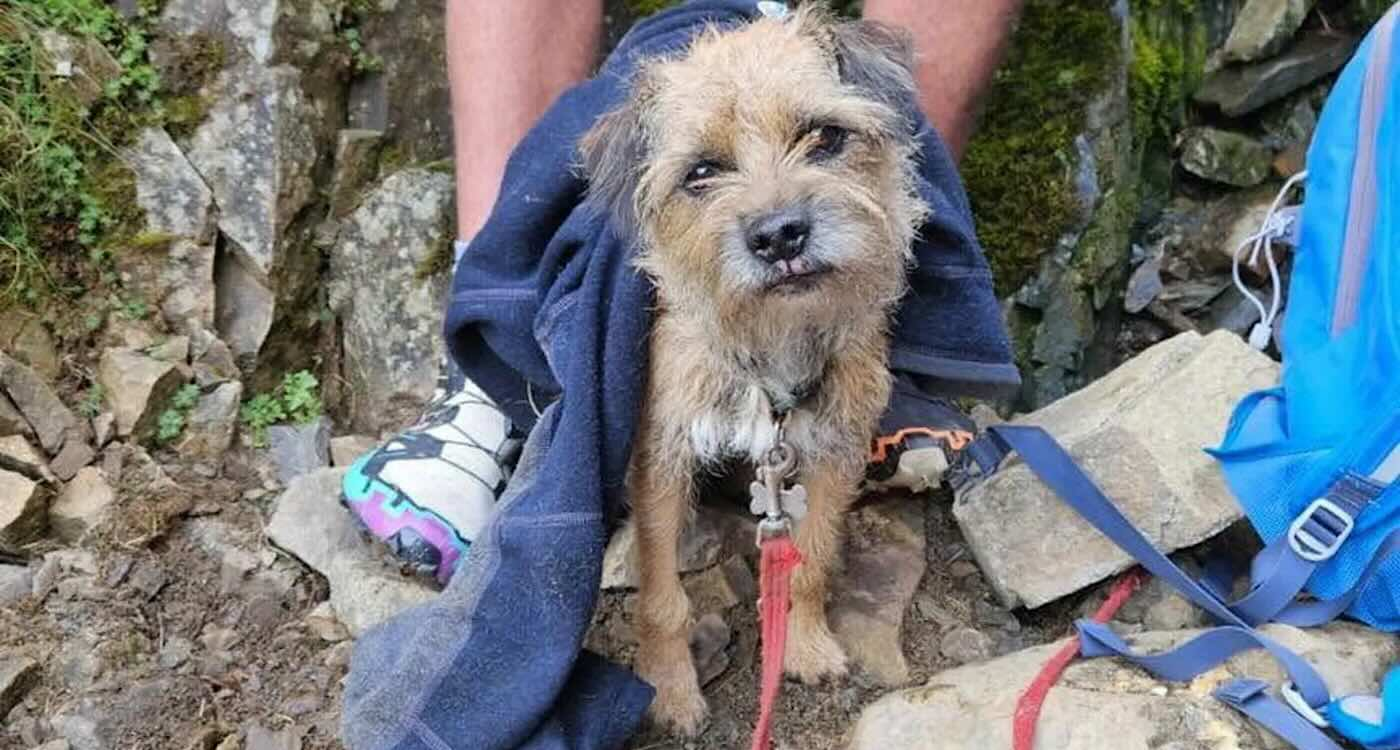 After the rescue – Keswick Mountain Rescue Team via SWNS