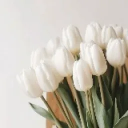 blossom