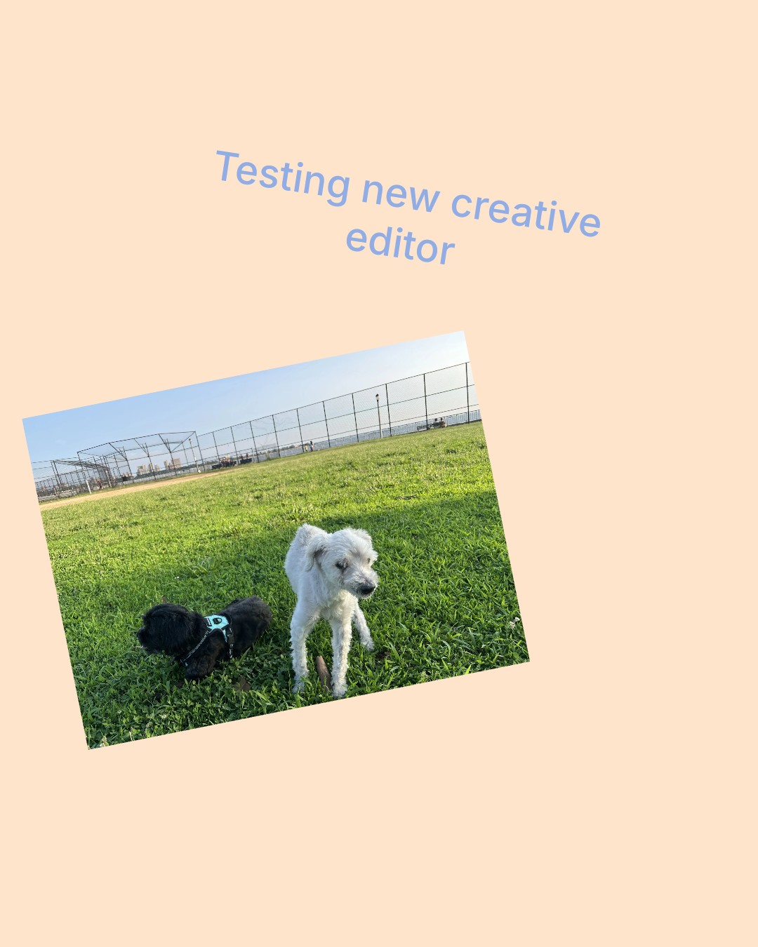 Testing new creative editor
