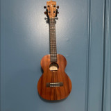 ukulele icon