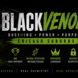 BlackVenom