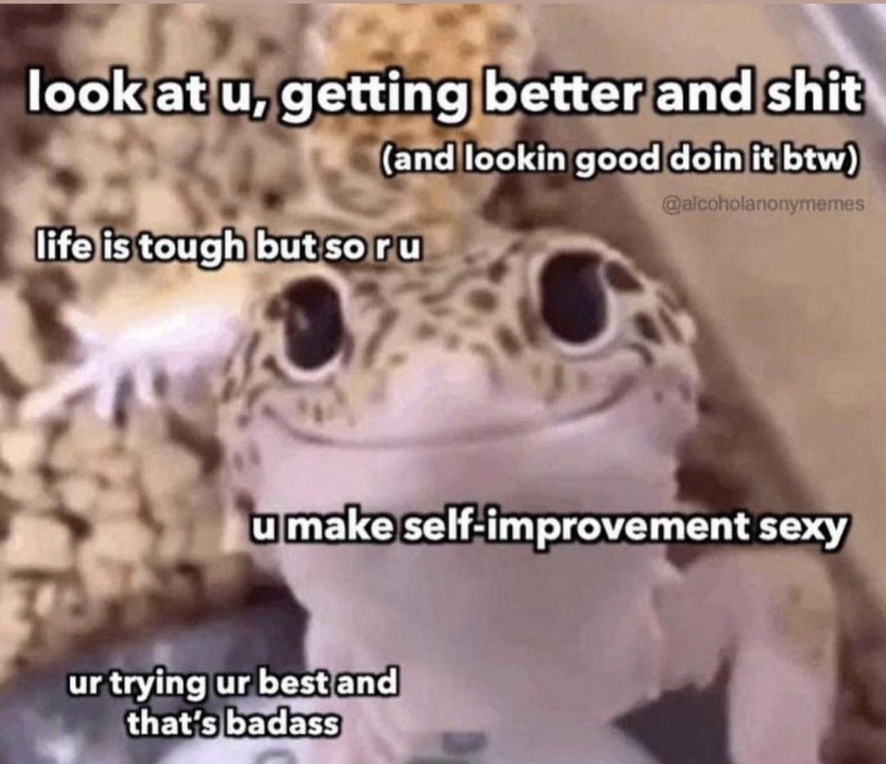 Motivational lizard