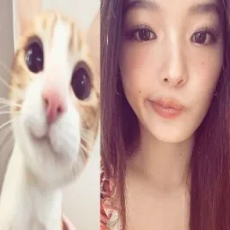 Dani