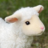 SheepByTheLake