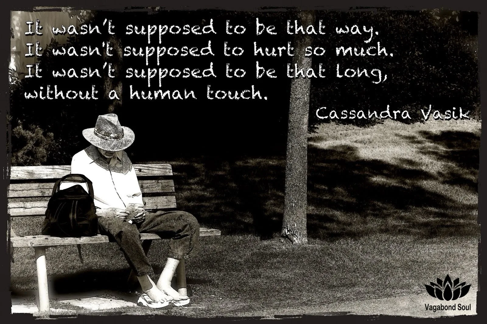 Cassandra Vasik