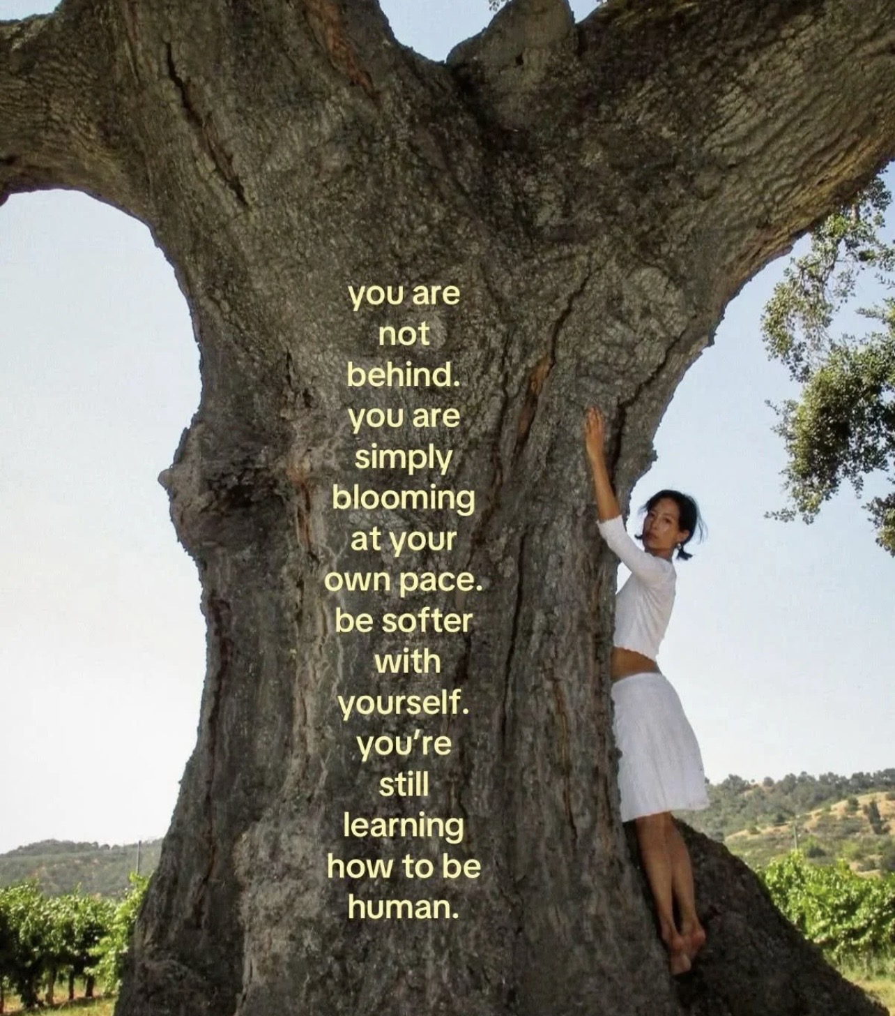 Go at your own pace - /c/RandomThoughts