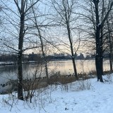 livelymonkey9475's avatar