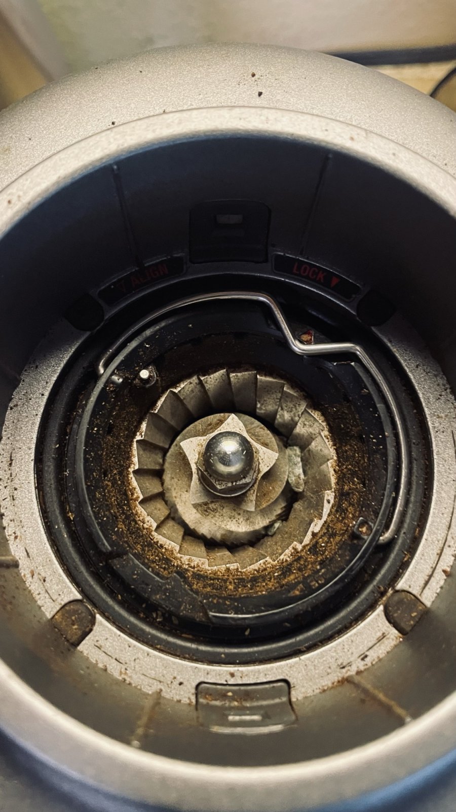 Piece of shit little rock jammed in the burrs of my coffee grinder, fucking up my morning LOL