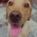 LeotheLab's avatar