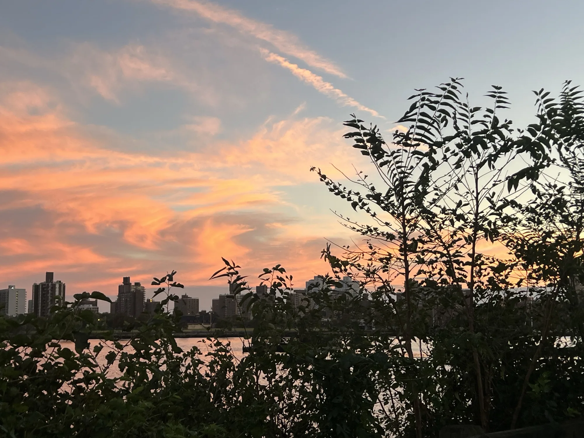 blue and orange sky