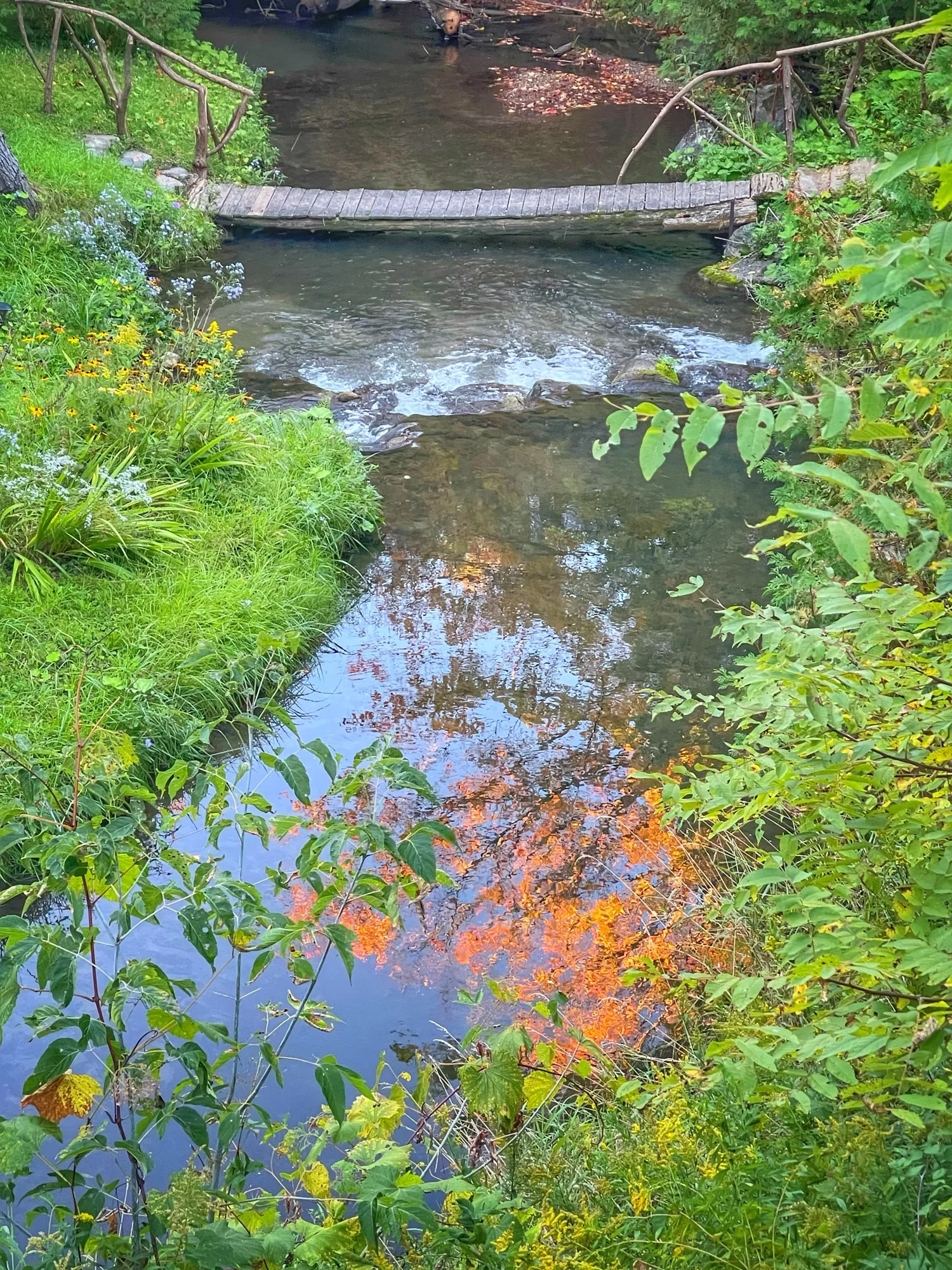 East Oshawa Creek, Ontario, Canada&nbsp;