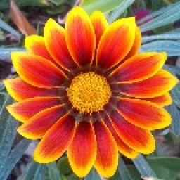 flowers icon