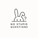 No Stupid Questions icon