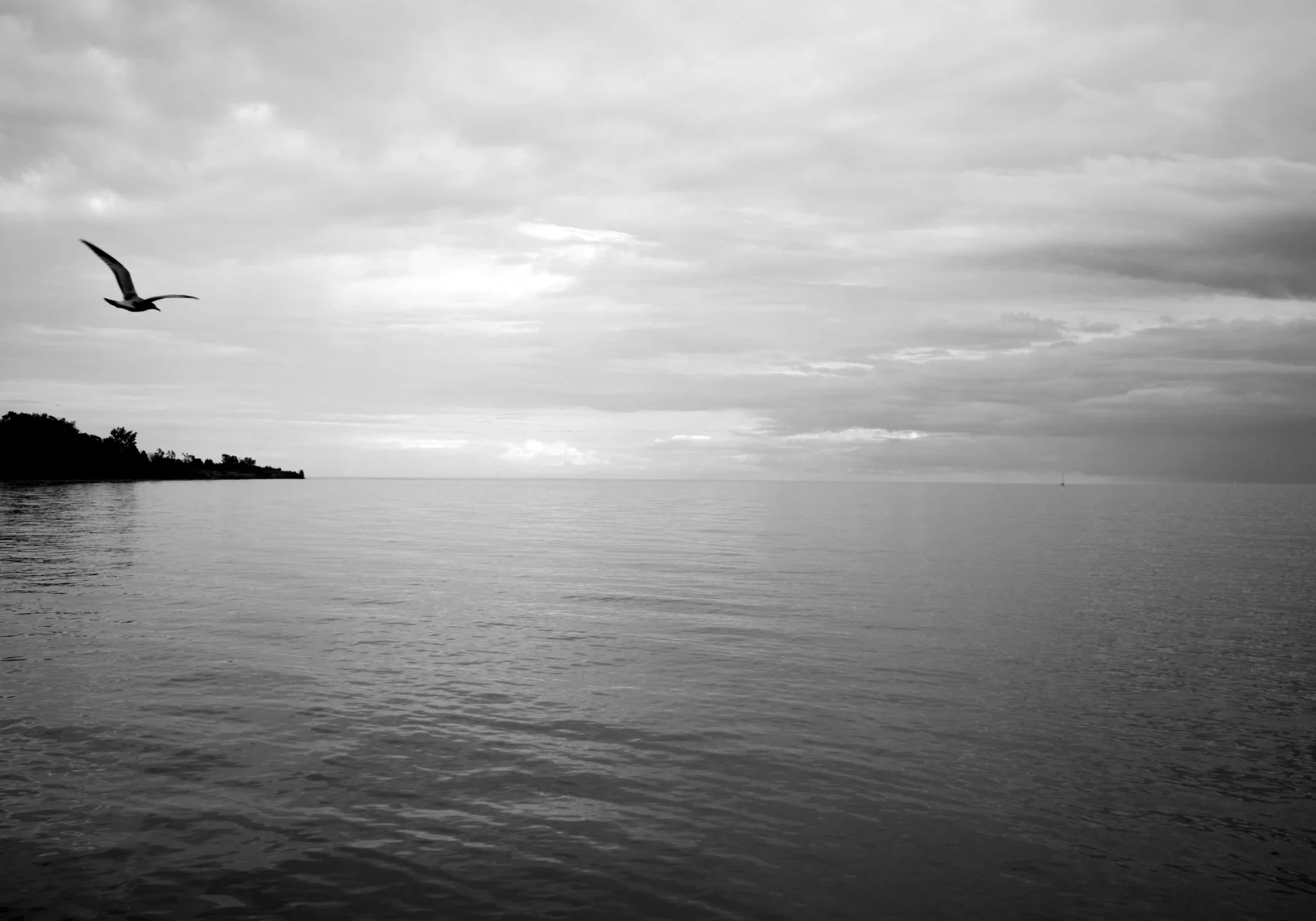 Lake Ontario, Toronto, Canada