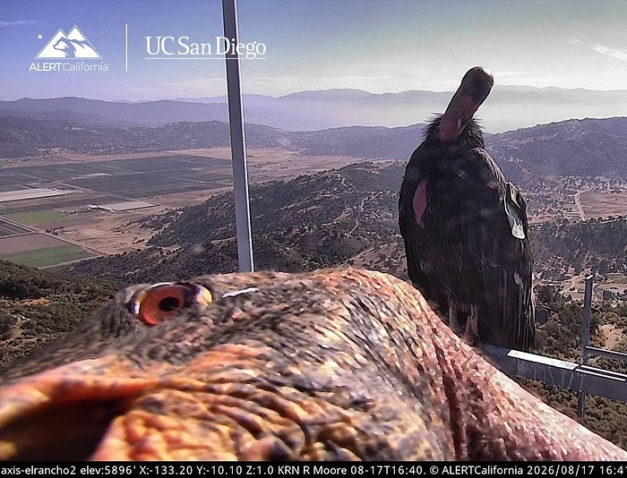 Photo&nbsp;Credit: ALERTCalifornia
