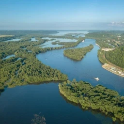 Minnesota