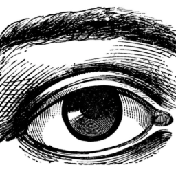 Eyes