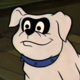 Dogs