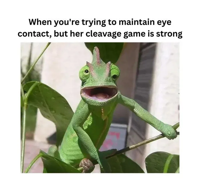 I like having this problem - /c/Memes