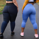 bigbutts