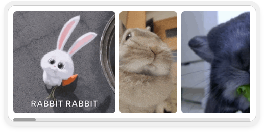 Selecting a GIF on OddsRabbit